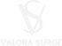 Valora Surge - Home